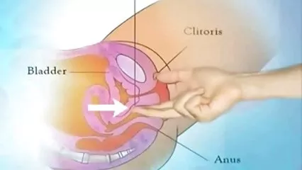Tratando de disfrutar plenamente xxx en español mexicano del sexo, las mujeres se frotan los coños