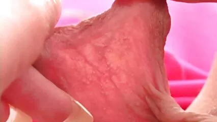 Una vagina hambrienta se sienta en la cara porno mexicano gratis de su amante.