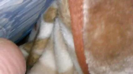 Plumper se arregló excelente sexo con vibrador videos porno trios mexicanos